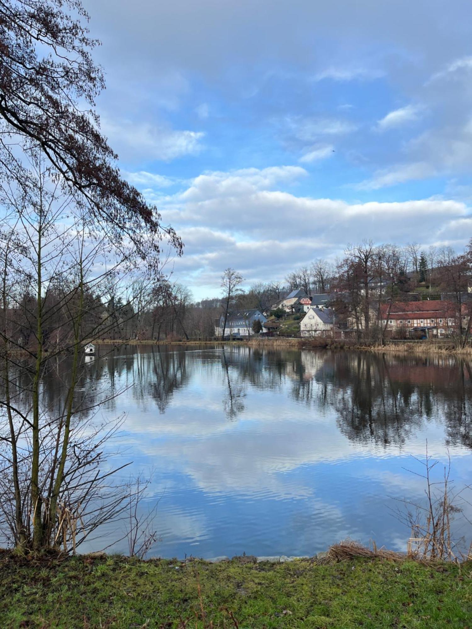 Ferienwohnung Idyll Am Weigsdorfer Teich Cunewalde Экстерьер фото